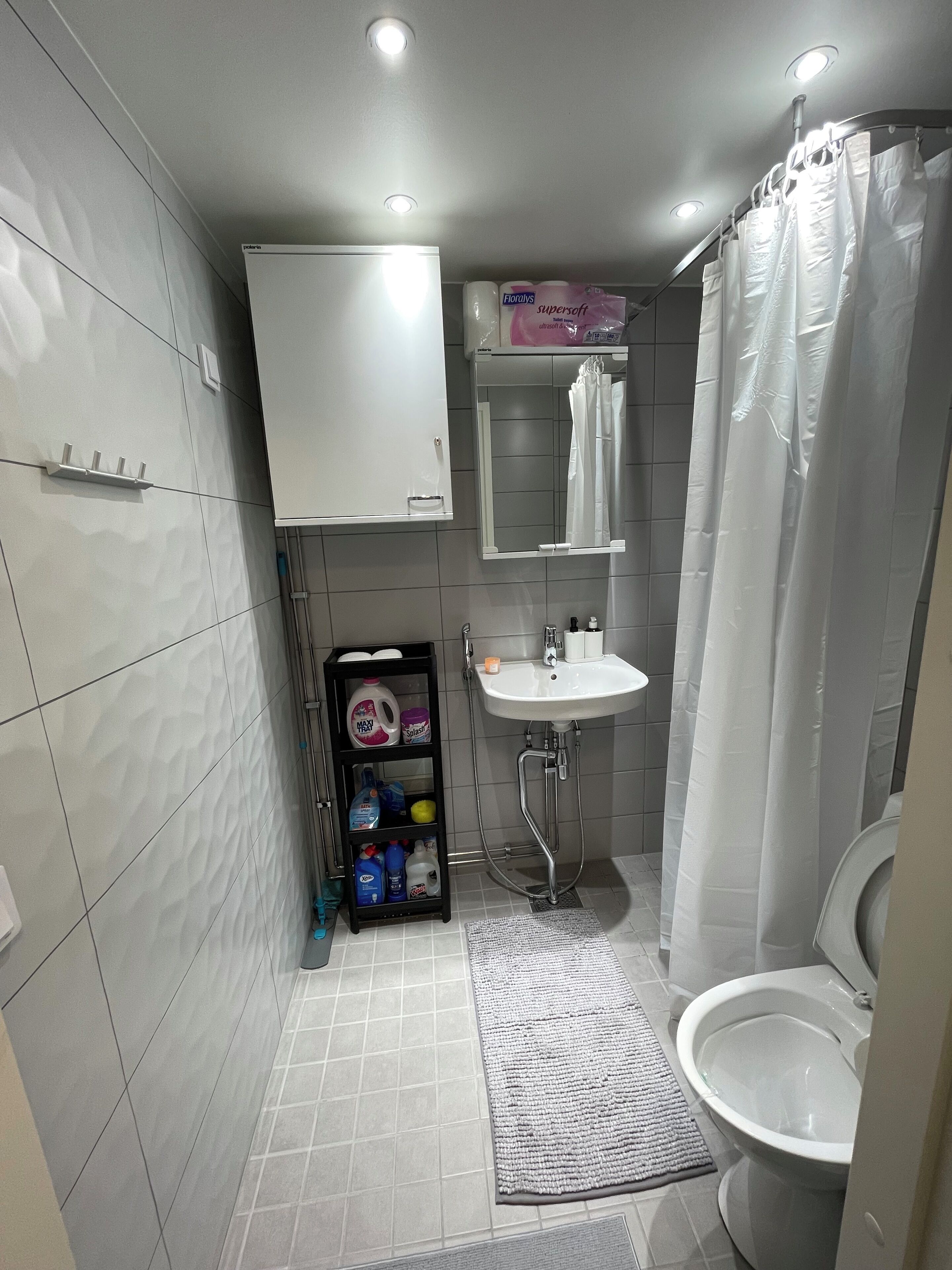 Shower, towels, soap, toilet paper