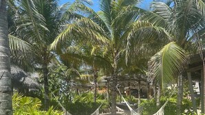 A tropical garden with palm trees, a hammock, and a stone bench. - New Year's- Dec 27th-Jan 3/2026- Luxury Resort- 2BR Grand Mayan Playa del Carmen (Solidaridad)
