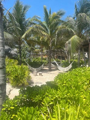 المنطقة المحيطة بالمنشأة