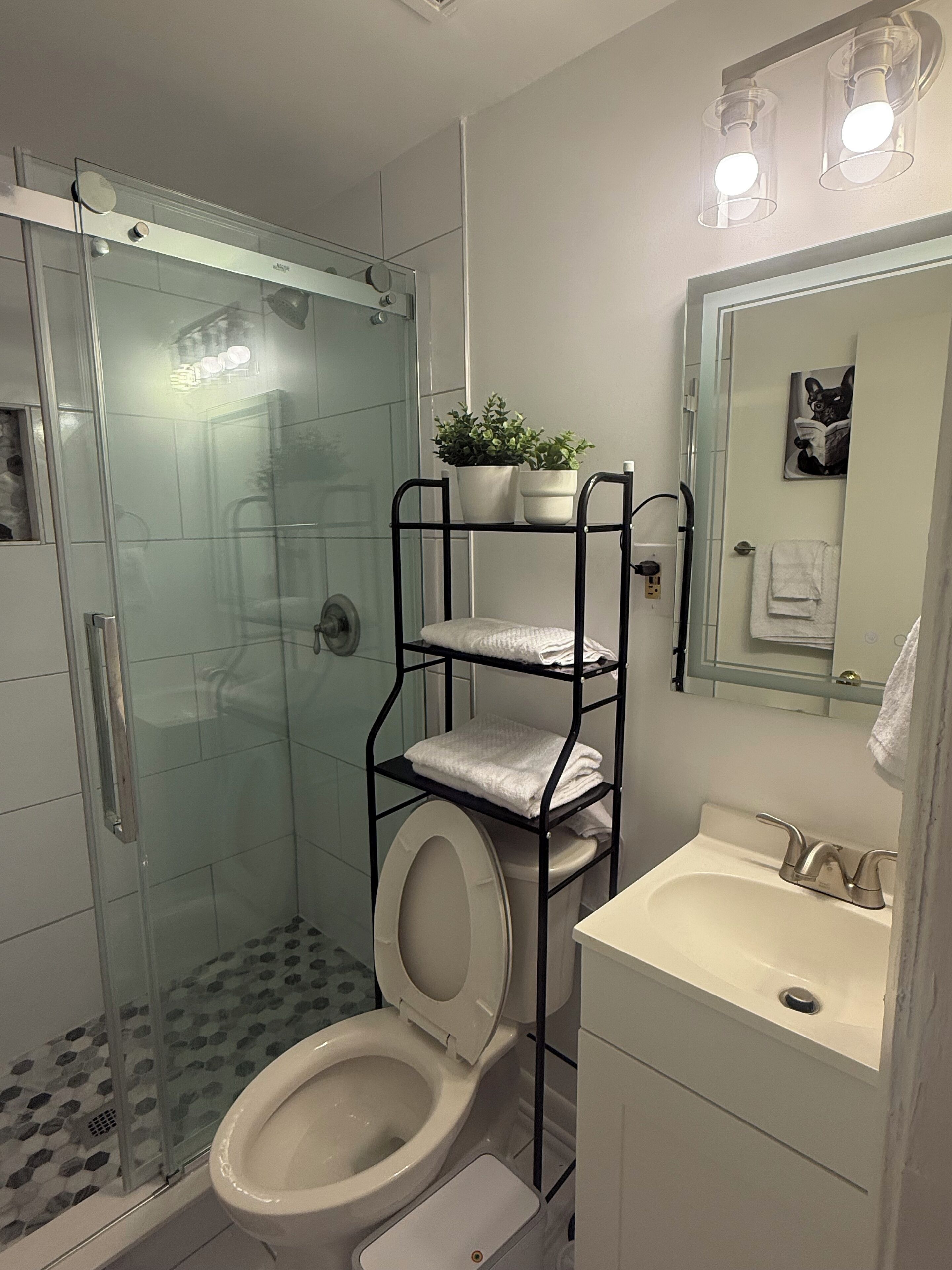 Hair dryer, towels, soap, toilet paper