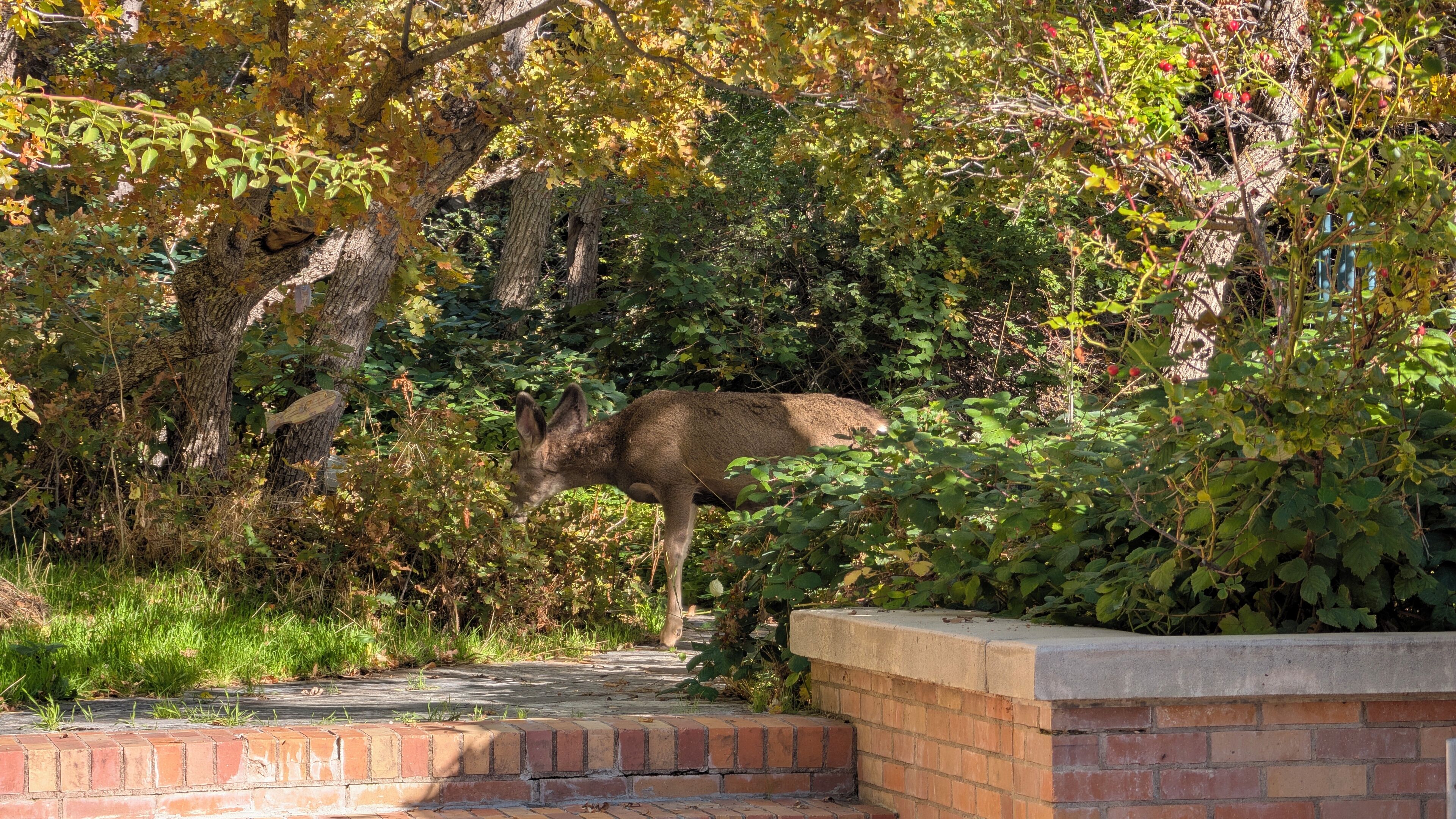 المنطقة المحيطة بالمنشأة