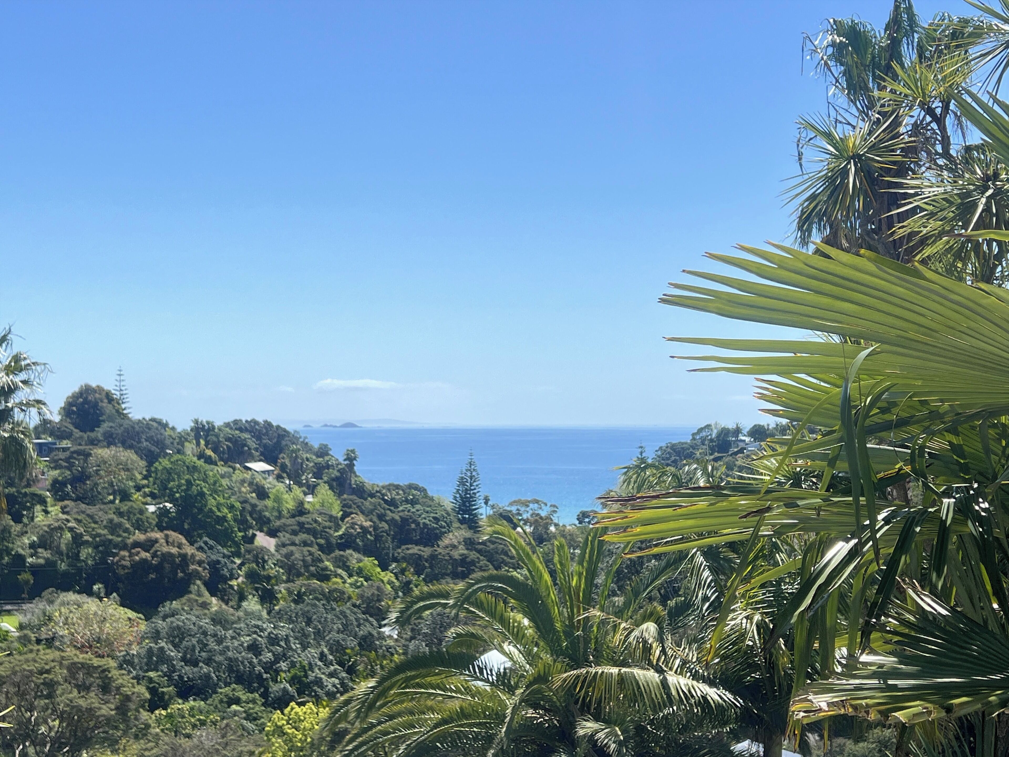 A lush landscape with dense greenery and a clear view of the ocean.