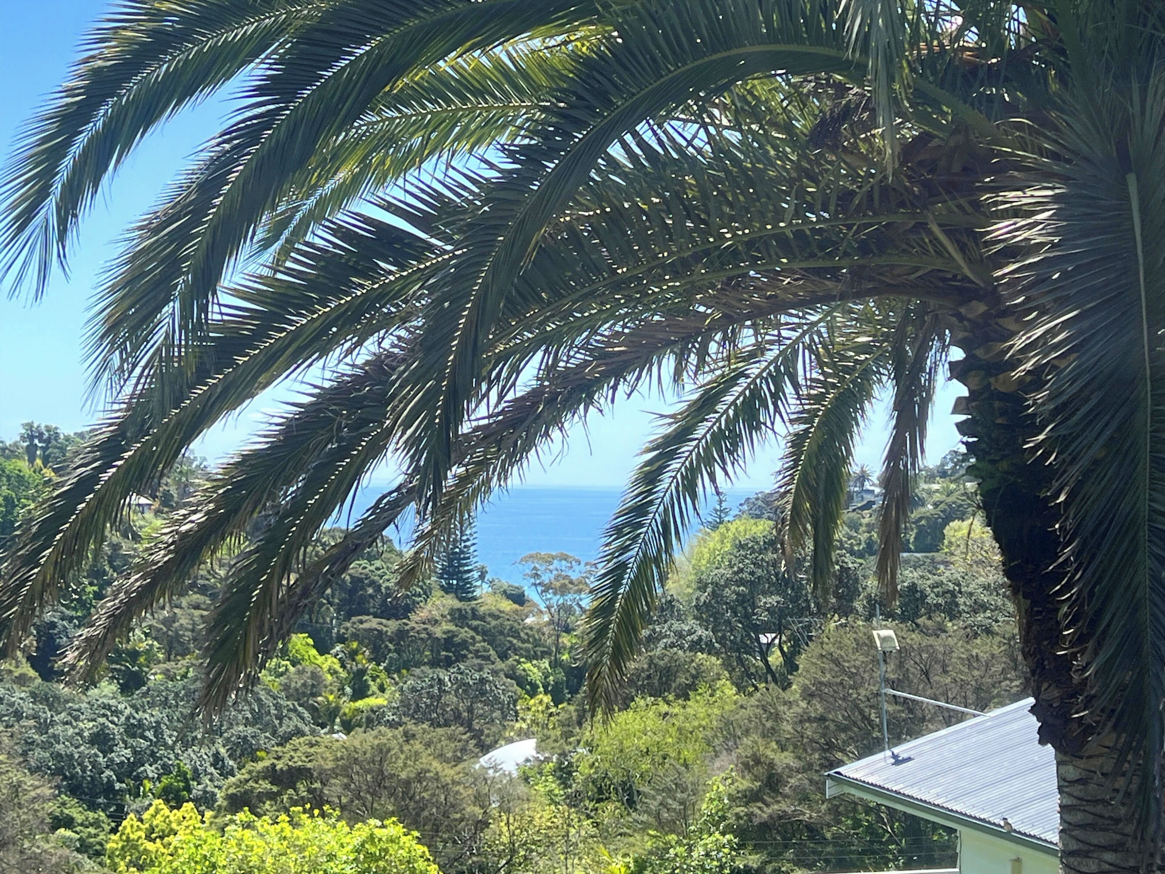A view of a coastal area with dense greenery and a building with a sloped roof.
