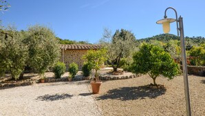 Un jardin avec des oliviers, un bâtiment en pierre et un lampadaire.
