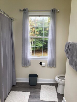 Hair dryer, towels, soap, toilet paper