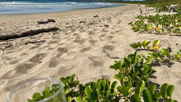 Ein Strand mit freiem Blick auf das Meer und ferne Hügel.