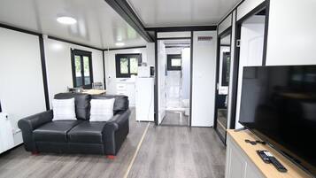 TV connectée, cheminée, livres