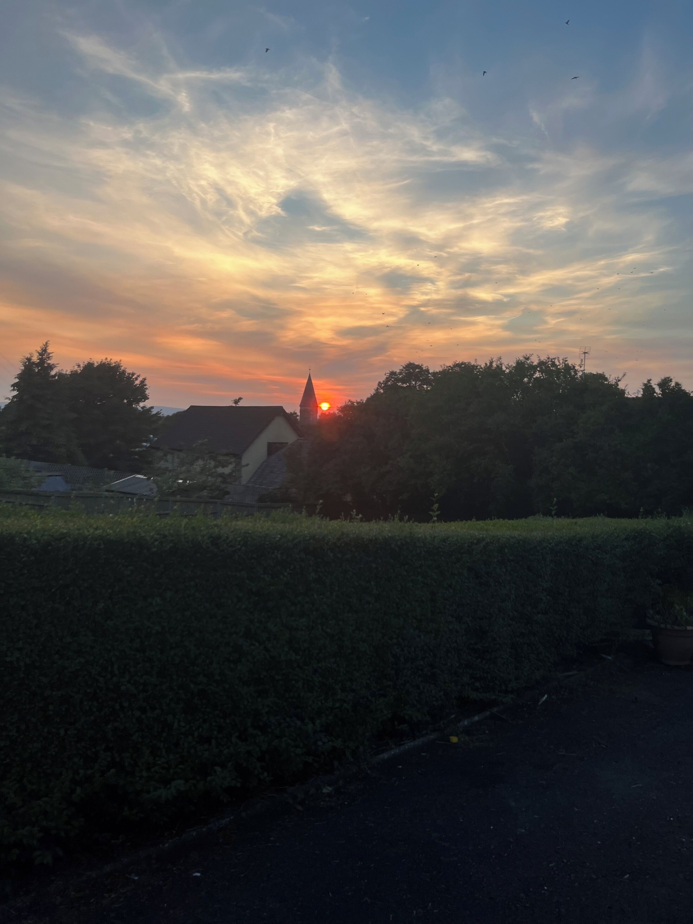 Un atardecer sobre una zona residencial con la aguja de una iglesia silueteada contra el cielo.