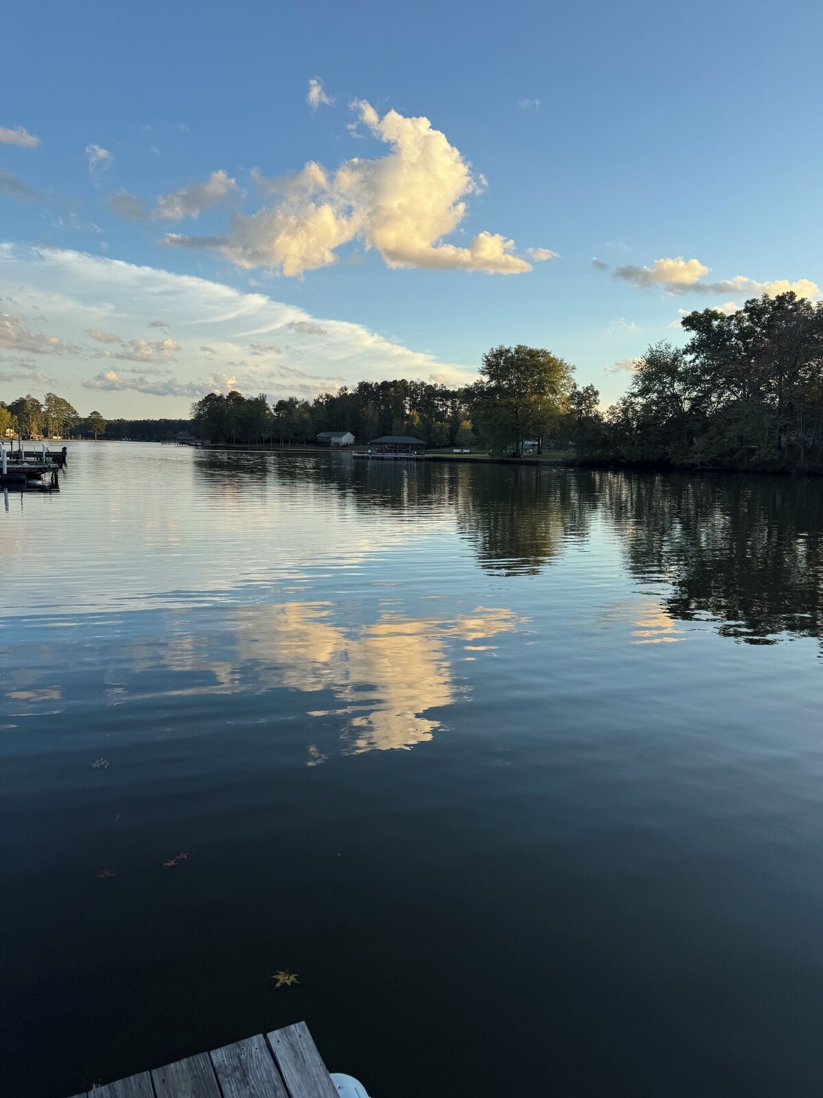 Immagine del profilo dell’host