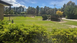 A grassy outdoor area with a building, trees, and a stone wall. - Modern private suite on local cherry orchard (Cromwell)