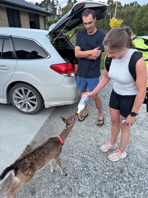 Jardines del alojamiento