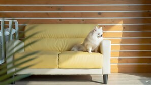 Basic Room, 1 Bedroom (DalcomDdalgi) | 1 bedroom, free WiFi