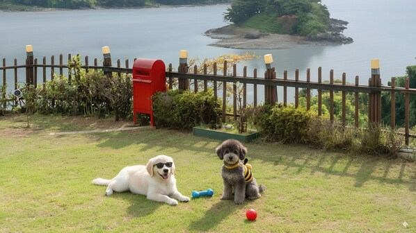 Exterior - Yeosu Greenhouse Pension (Yeosu)