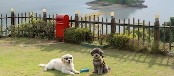 Yeosu Greenhouse Pension