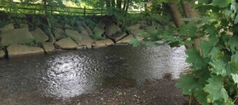 Creekside Chalet + Allstar Deluxe