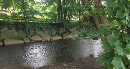 Creekside Chalet + Allstar Deluxe