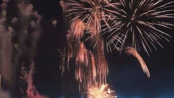 Vista desde la propiedad