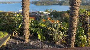 A view of a coastal area with palm trees, a garden with tropical plants, and a distant view of a body of water and hills. - Coastal cottage with serene views, near to all ammenities and beaches. (Paihia)