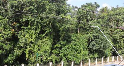 HOSTEL Tacacá - 5 minutes from Greezone (COP30)