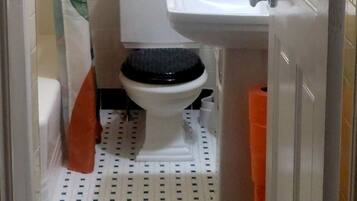 Combined shower/bathtub, free toiletries, hair dryer, towels