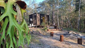 Un chalet rustique aux murs en bois, entouré d’une forêt.