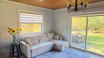 Smart TV, fireplace, table tennis, books