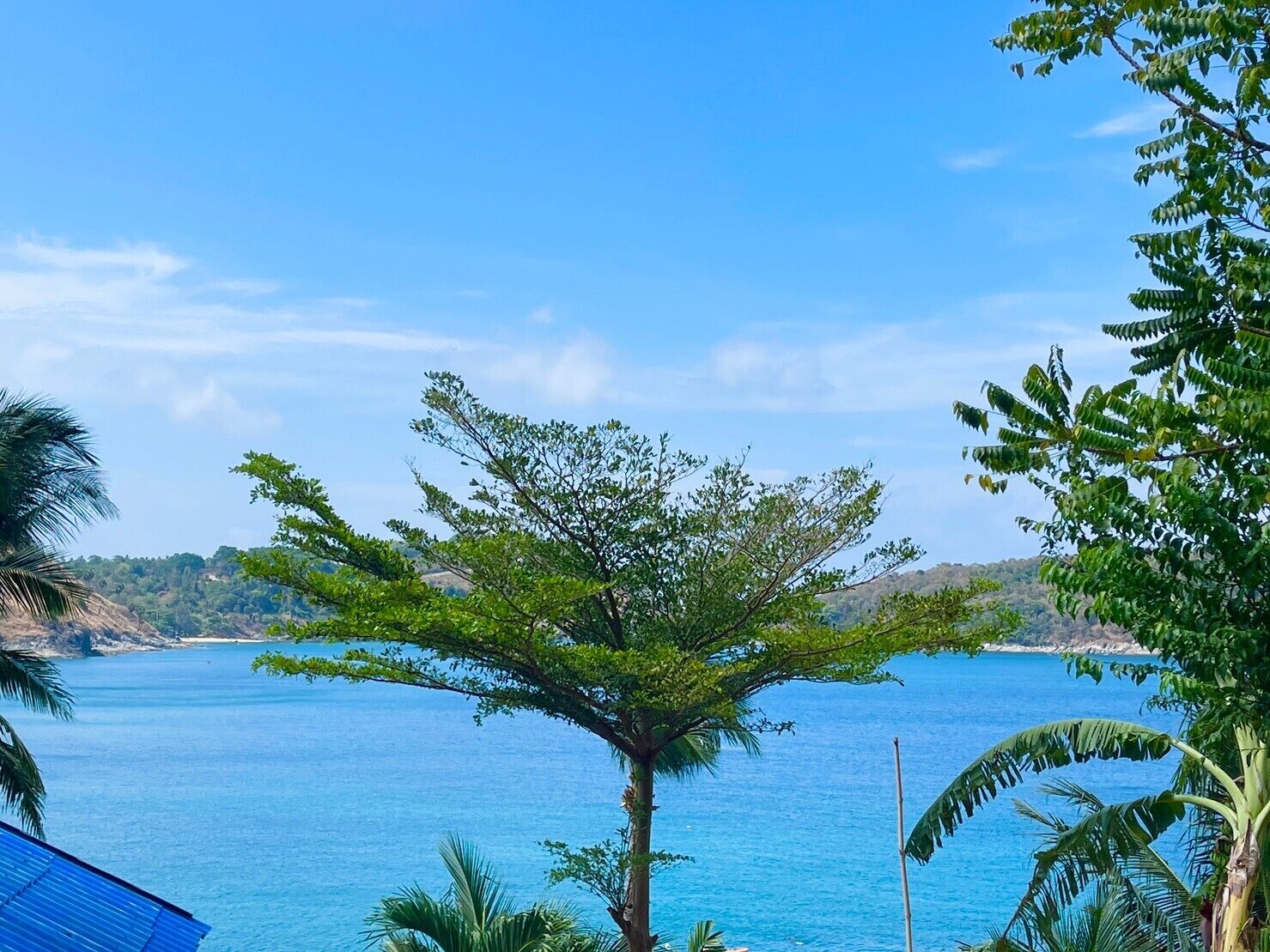 豪華洋房, 花園景觀 | 書桌、免費無線上網