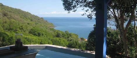 Departamento Deluxe, patio | Alberca privada