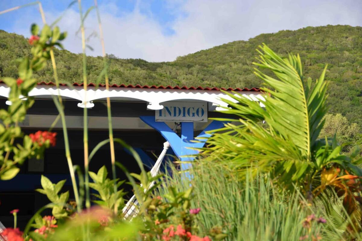 Un edificio con un letrero que dice 'INDIGO' frente a una colina verde y exuberante.