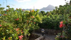 Ein Garten mit verschiedenen Pflanzen und einer Laterne, der zu einem Blick auf eine Berglandschaft und ein Gewässer führt.