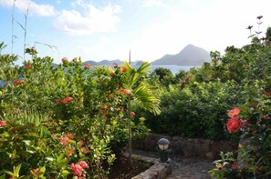 Classic-lejlighed - terrasse | Haveudsigt