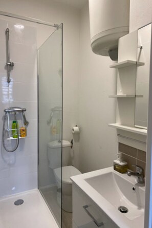 Douche, séchoir à cheveux, serviettes fournies, papier de toilette