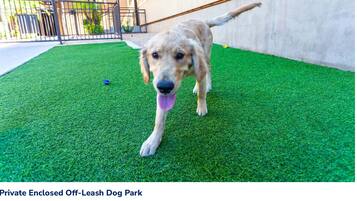 Overnatningsstedets område