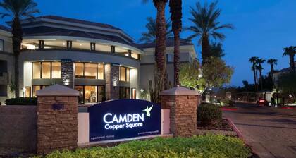 Chase field Spacious 1-bedroom in fabulous DownTown fitness room, AC and dog run