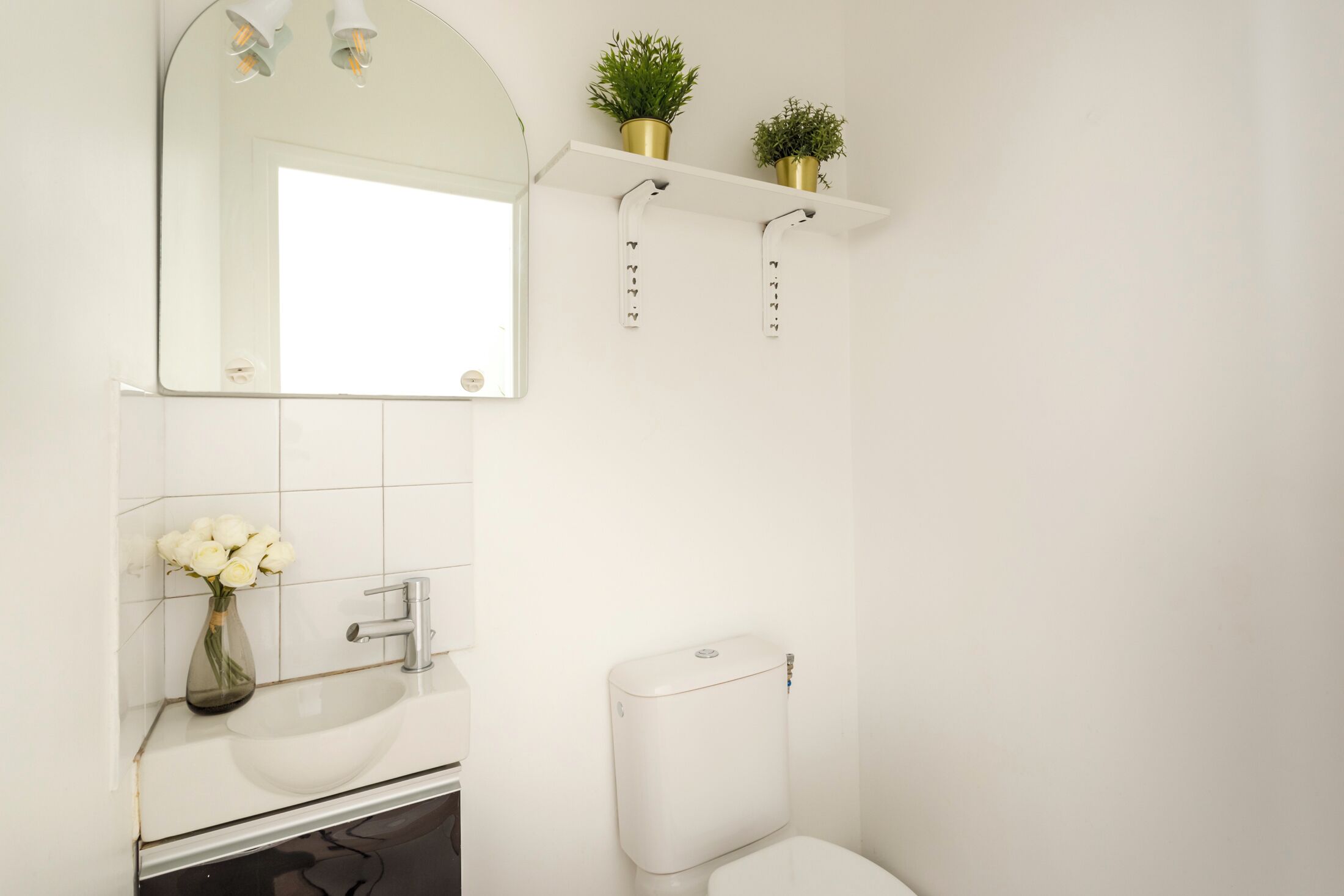 Une salle de bain avec un lavabo blanc, un miroir, des toilettes et deux plantes en pot posées sur une étagère.