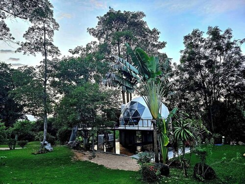 Dome & Treehouses for family 2 adults & 2 kids