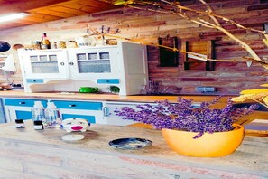 Fridge, oven, stovetop, toaster