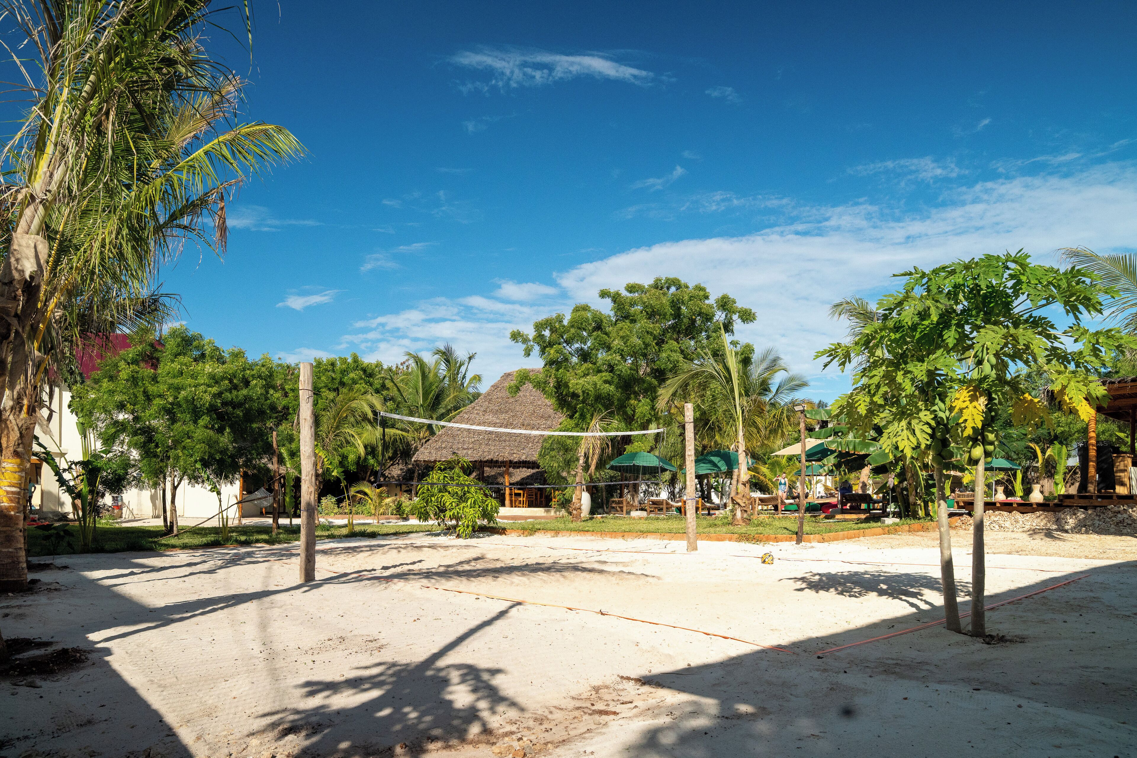 An outdoor volleyball court with a net, surrounded by palm trees and a thatched-roof building.