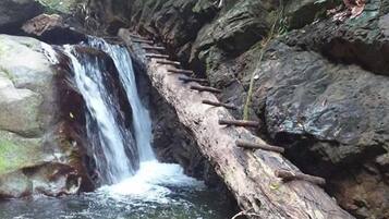 وسائل الراحة في المنشأة