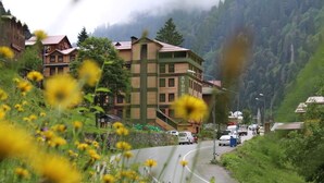 A road with a building in the background, surrounded by greenery and mountains. - Ayder Hotel  (Çamlıhemşin)