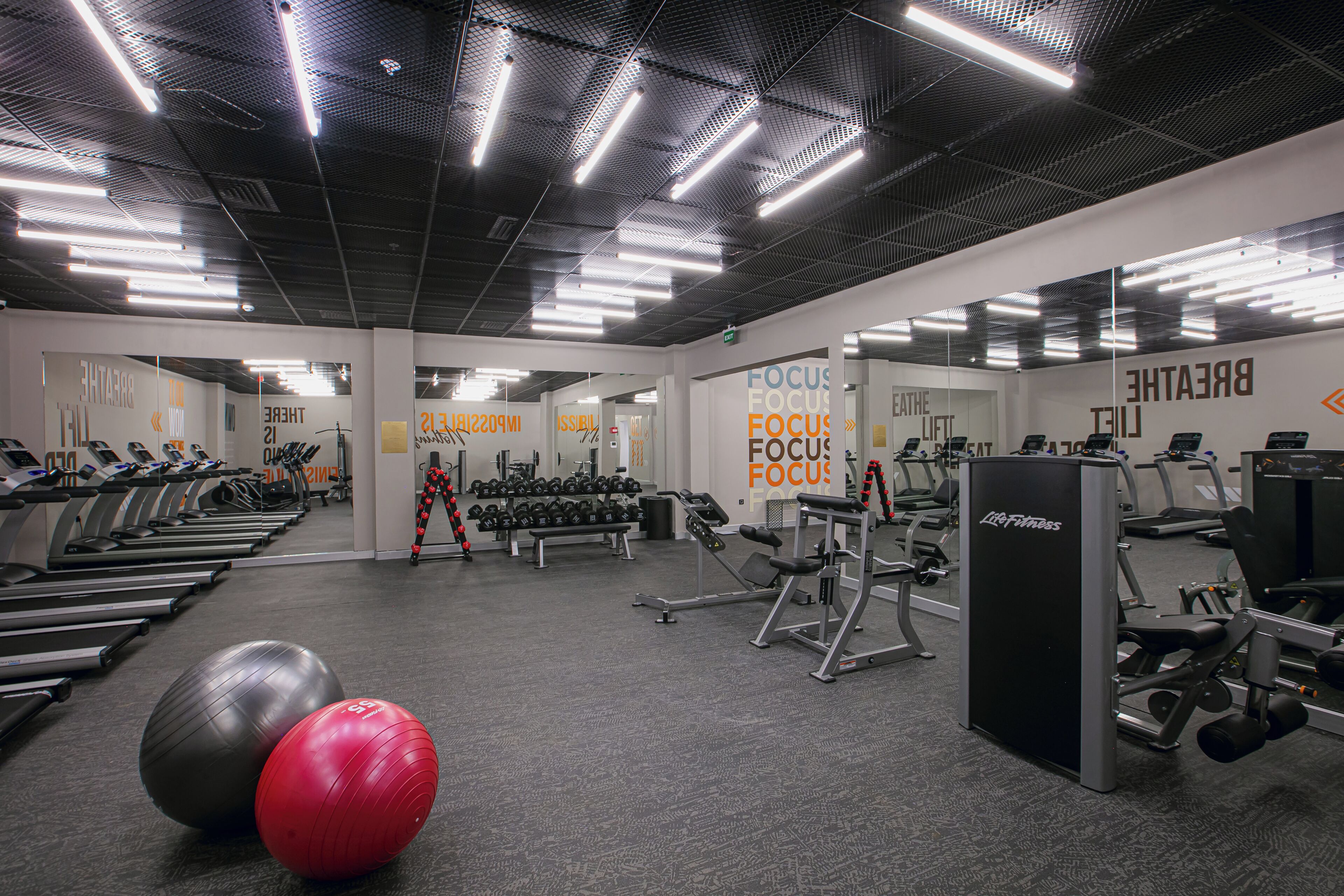 A gym with treadmills, dumbbells, and exercise balls.