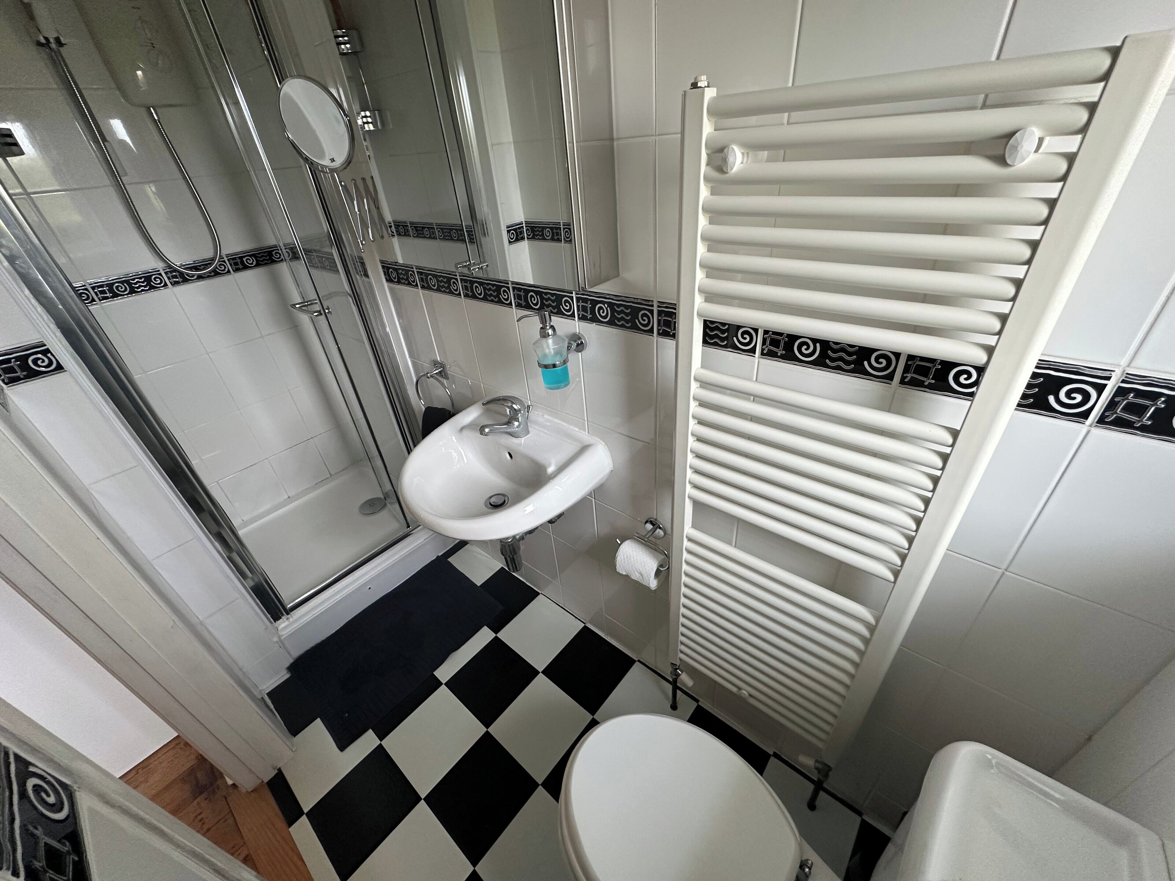 Een badkamer met een witte wastafel, toilet, douche met glazen deur en een witte handdoekradiator.