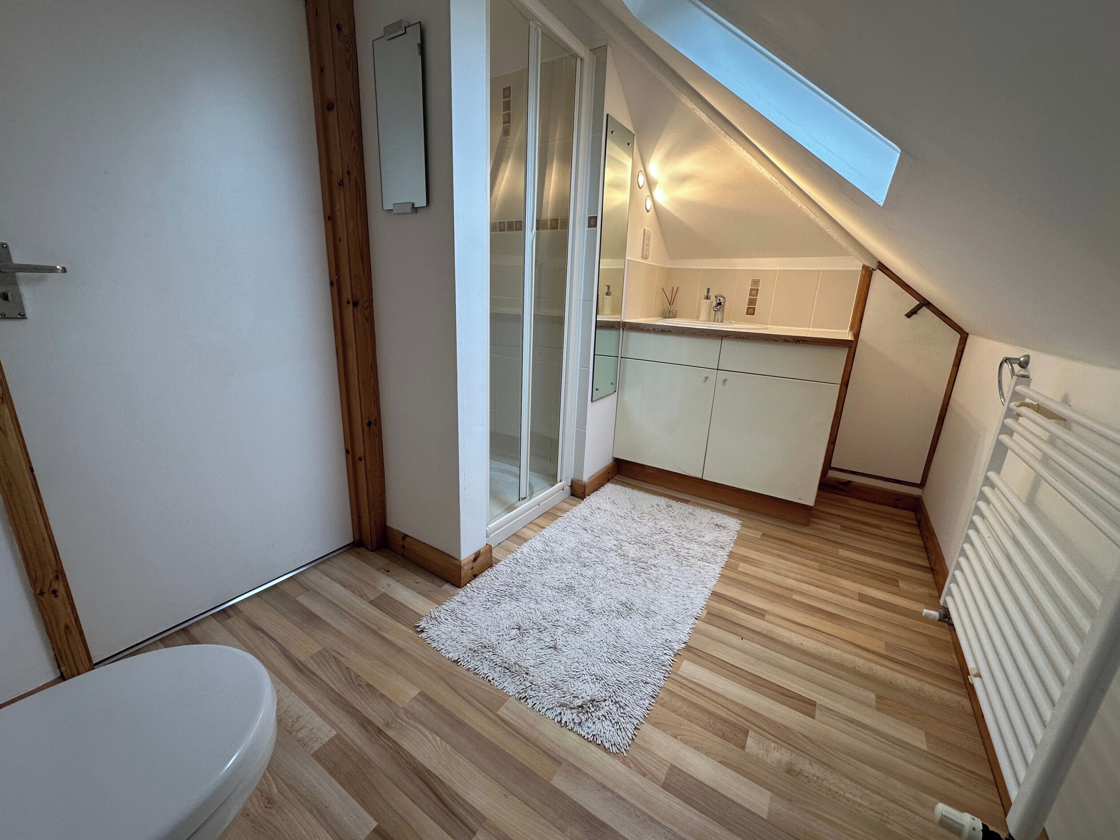 A small, modern bathroom with a shower, toilet, and a skylight.