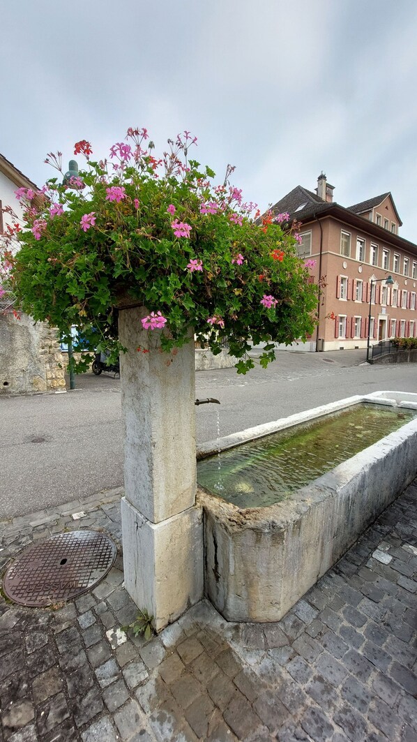 Property grounds - Flat "Giselas Ruheplatz" (Liesberg Dorf)