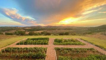 Villa | View from property