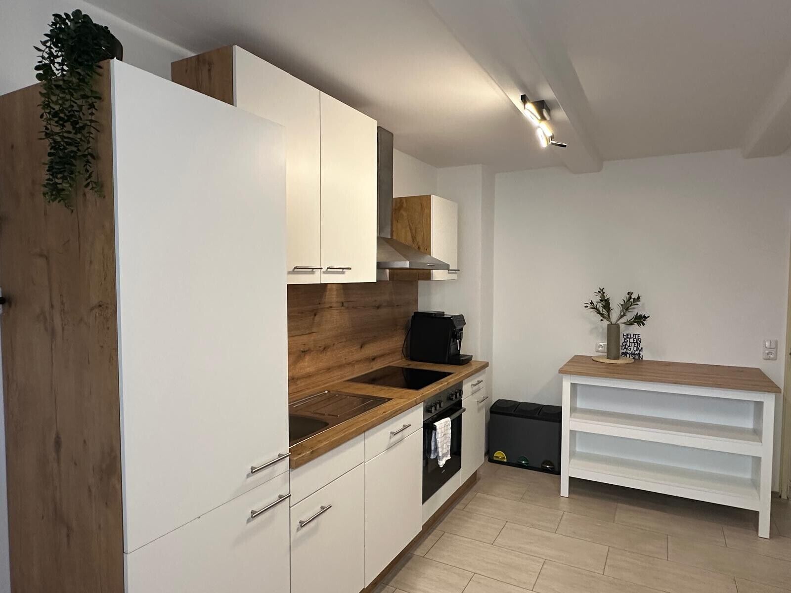 Kühlschrank, Ofen, Herdplatte, Geschirrspüler