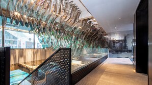 Ein modernes Interieur mit Glasdecke, einer Treppe und Blick ins Freie.