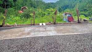 Un paisaje rural con un camino de grava, una pequeña construcción y abundante vegetación.