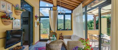 Tv, pejs, bordfodbold