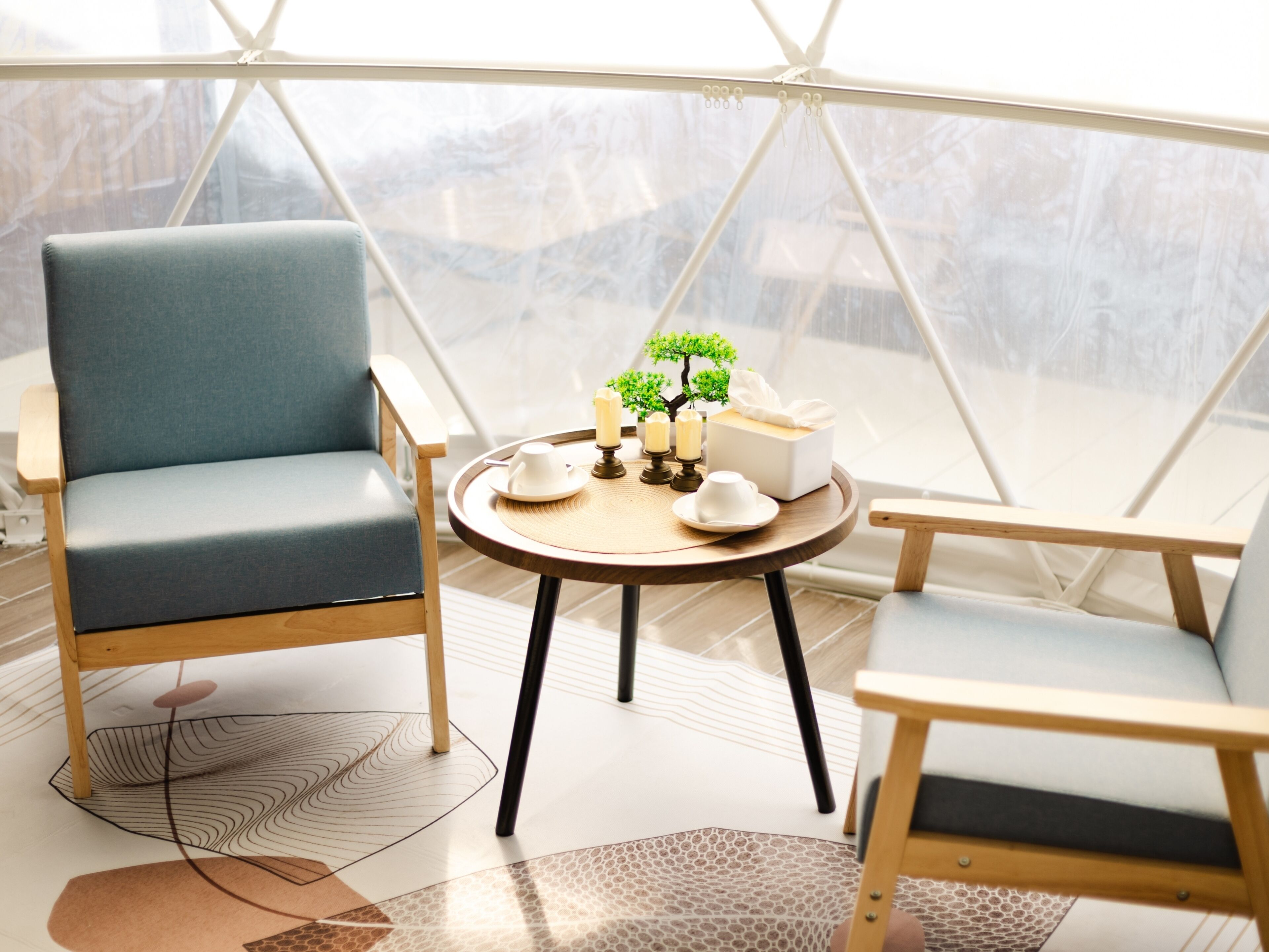 A cozy room with a round table, two chairs, a small plant, and a box of tissues.
